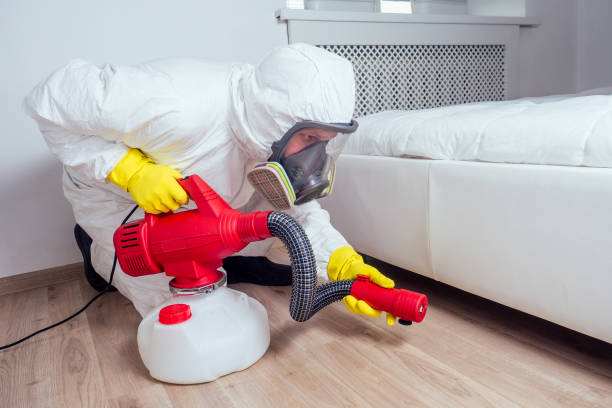 Best Pest Prevention Services  in Debary, FL